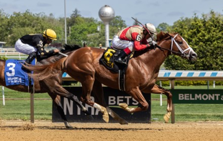 The Evolution of World Championship Racing