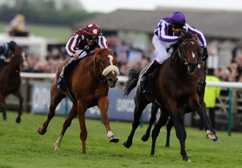 The Evolution of Safety in Horse Racing